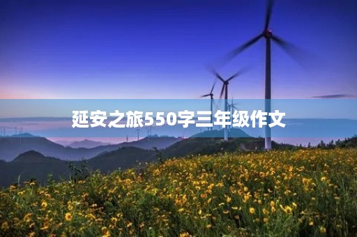 延安之旅550字三年级作文