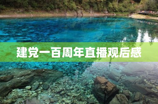 建党一百周年直播观后感