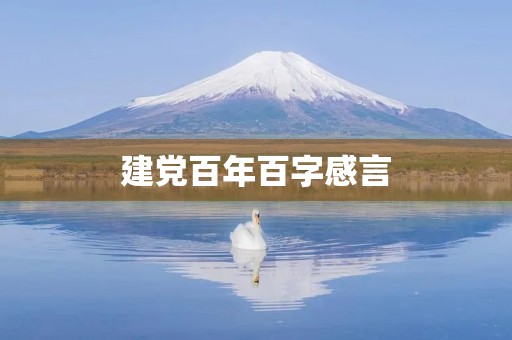 建党百年百字感言