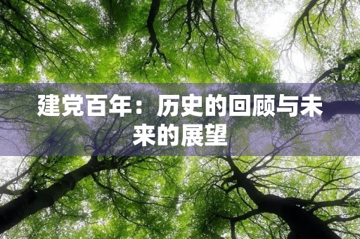 建党百年:历史的回顾与未来的展望 建党百年:历史的回顾与未来的展望
