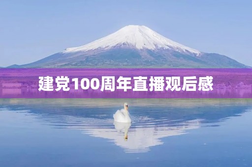 建党100周年直播观后感