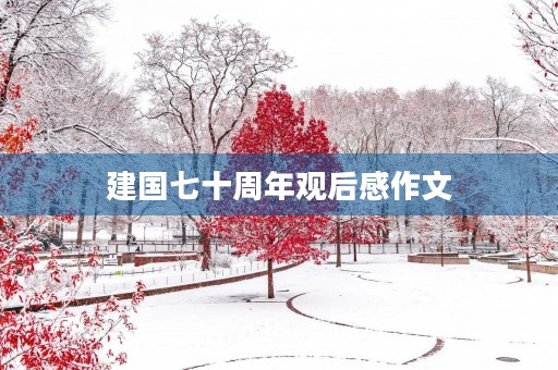 建国七十周年观后感作文 建国七十周年观后感作文