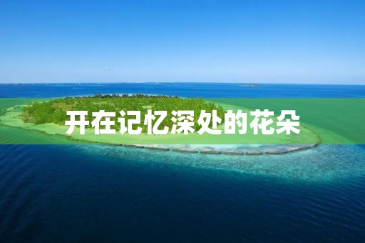 开在记忆深处的花朵 开在记忆深处的花朵
