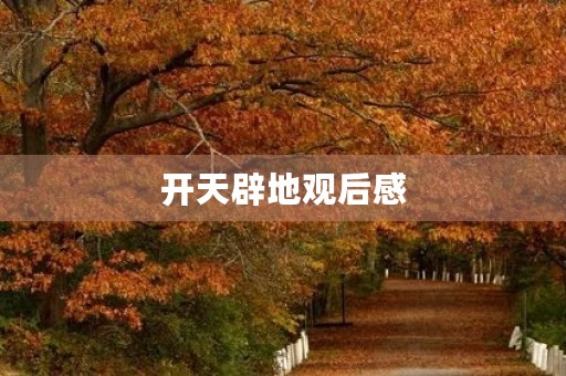 开天辟地观后感