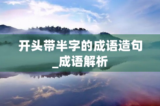 开头带半字的成语造句_成语解析