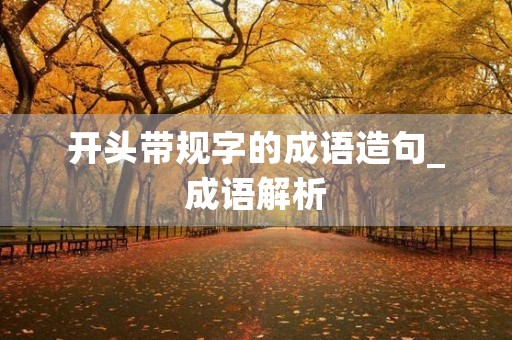开头带规字的成语造句_成语解析