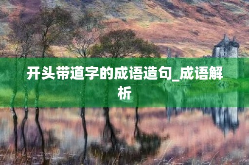 开头带道字的成语造句_成语解析
