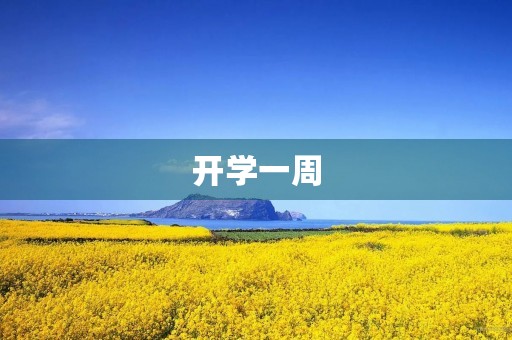 开学一周