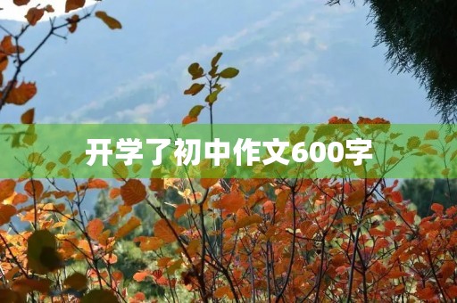 开学了初中作文600字 开学了初中作文600字