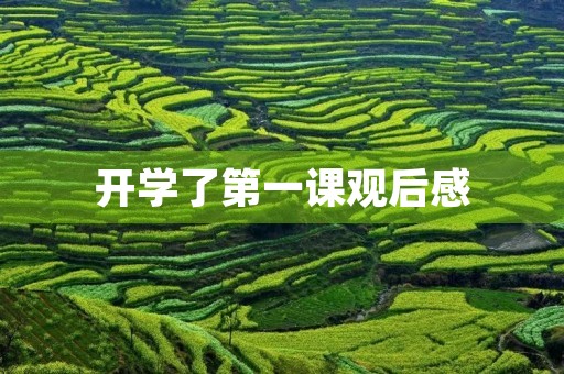 开学了第一课观后感 开学了第一课观后感