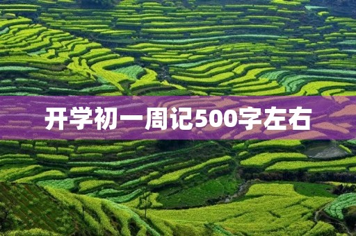 开学初一周记500字左右 开学初一周记500字左右