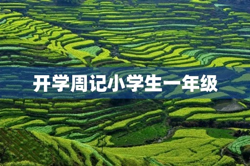 开学周记小学生一年级 开学周记小学生一年级