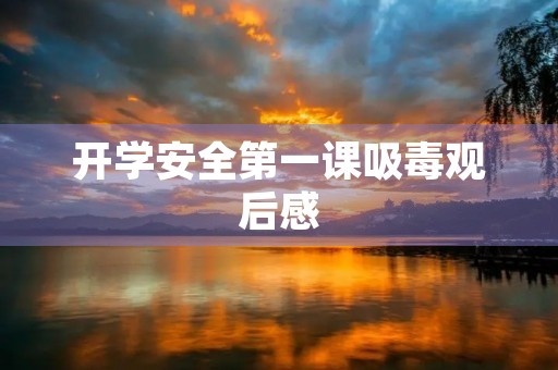 开学安全第一课吸毒观后感 开学安全第一课吸毒观后感