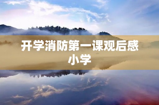 开学消防第一课观后感小学