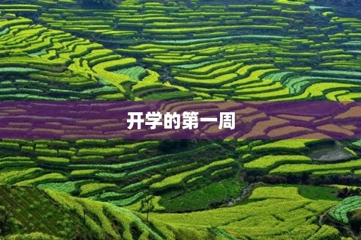 开学的第一周