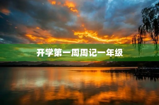 开学第一周周记一年级