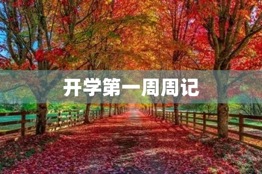 开学第一周周记