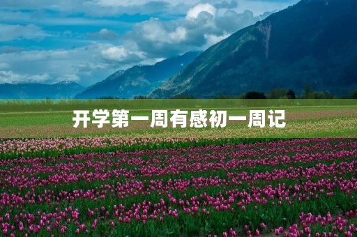 开学第一周有感初一周记 开学第一周有感初一周记