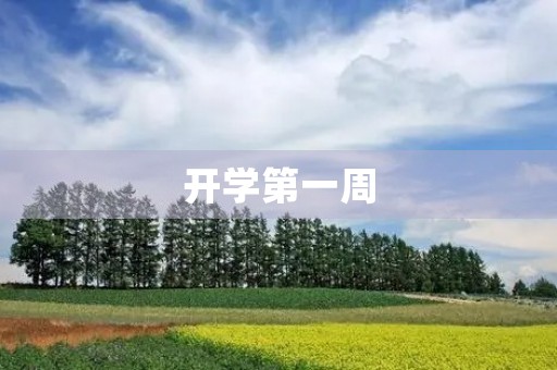 开学第一周，心情总是特别激动。面对新的环境和新的挑战，我们需要用心去体验和感受。在这个开学的周记里，我想分享一下我这一周的所见所闻，以及我对新学期的期望。