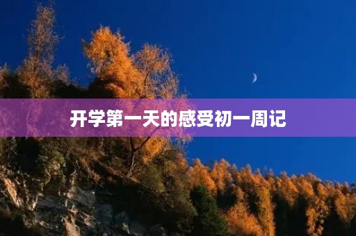 开学第一天的感受初一周记