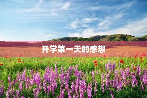 开学第一天的感想