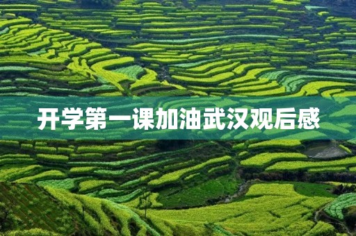 开学第一课加油武汉观后感