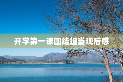 开学第一课团结担当观后感