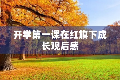 开学第一课在红旗下成长观后感