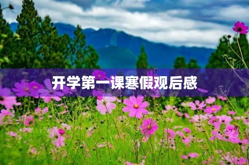 开学第一课寒假观后感 开学第一课寒假观后感