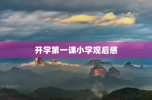 开学第一课小学观后感