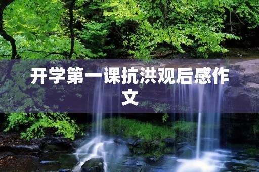 开学第一课抗洪观后感作文