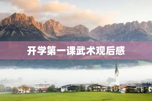 开学第一课武术观后感