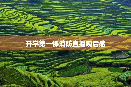 开学第一课消防直播观后感 开学第一课消防直播观后感