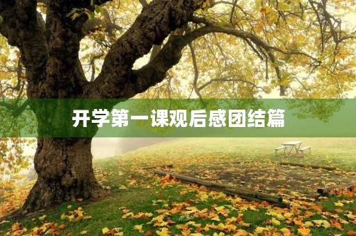 开学第一课观后感团结篇 开学第一课观后感团结篇