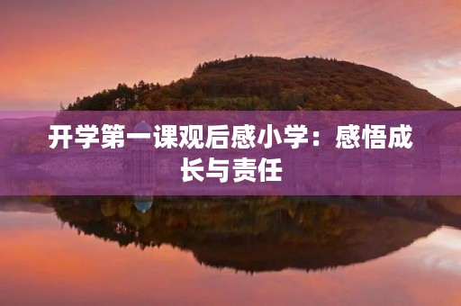 开学第一课观后感小学：感悟成长与责任