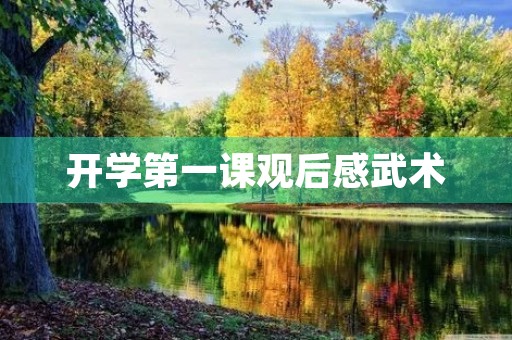 开学第一课观后感武术