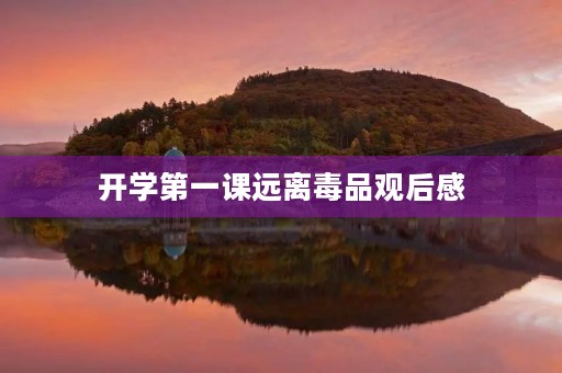 开学第一课远离毒品观后感