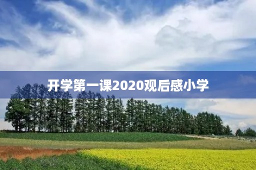 开学第一课2020观后感小学