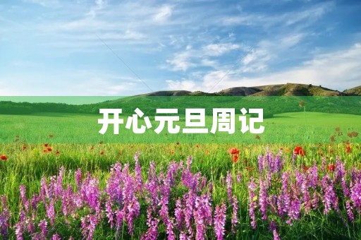 开心元旦周记