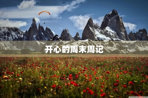 开心的周末周记