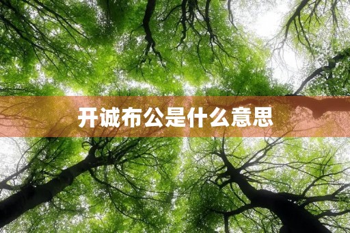 开诚布公是什么意思 开诚布公是什么意思