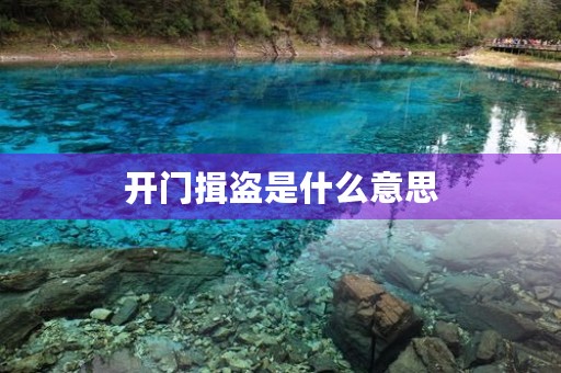 开门揖盗是什么意思
