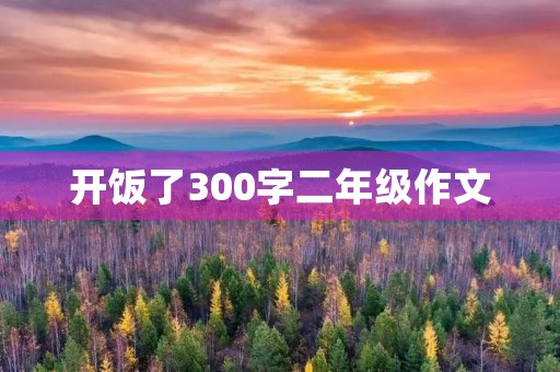 开饭了300字二年级作文