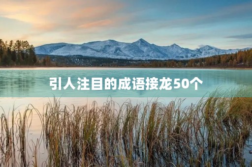 引人注目的成语接龙50个