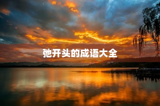 弛开头的成语大全