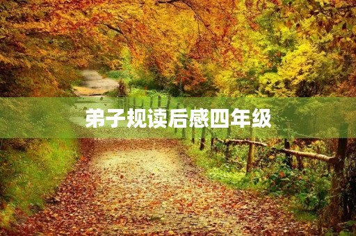 **规读后感四年级