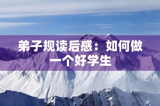 **规读后感：如何做一个好学生