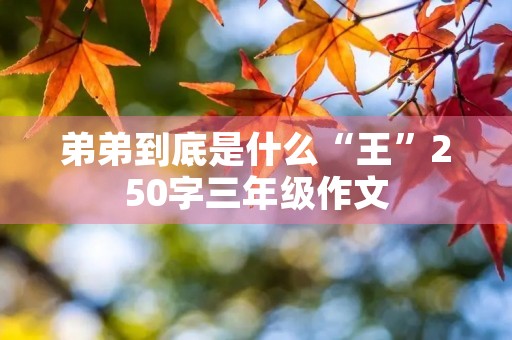 弟弟到底是什么“王”250字三年级作文 弟弟到底是什么“王”250字三年级作文