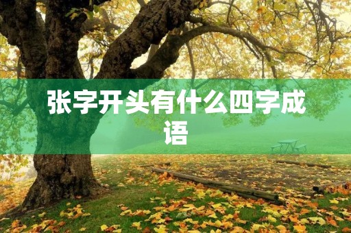 张字开头有什么四字成语