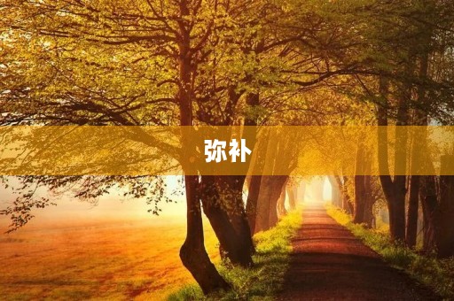 弥补
